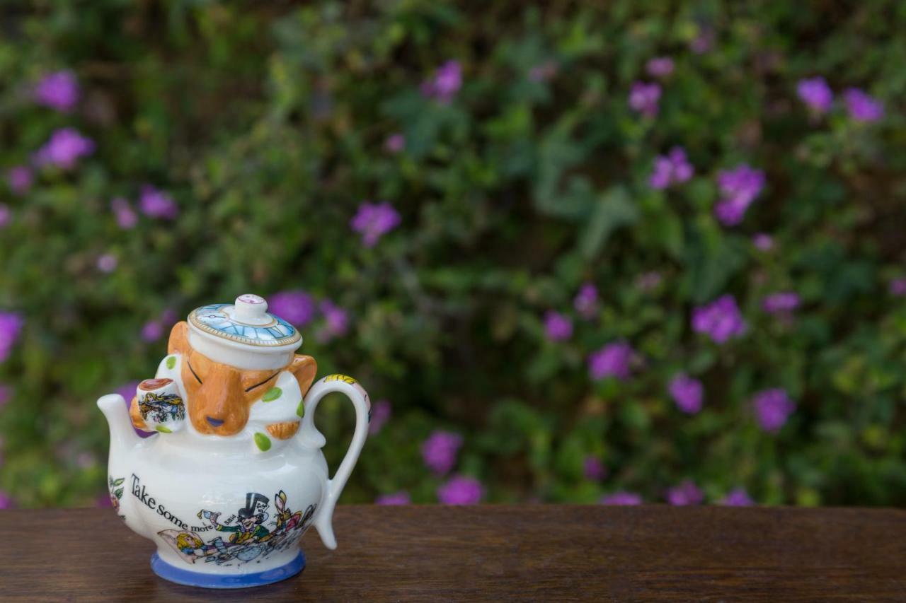 Cheshire Cat & Bed and breakfast